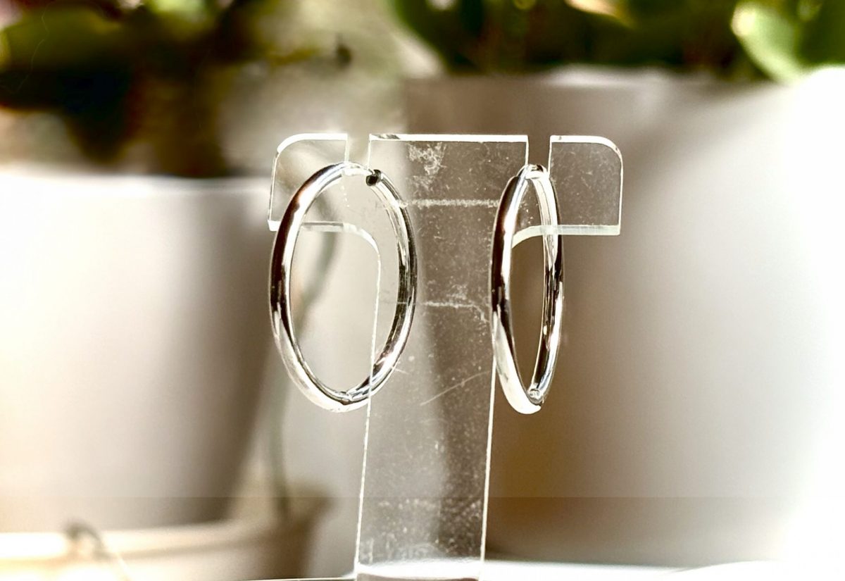 新入荷ピアス＆プチネック