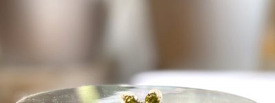 マリガーネットピアス